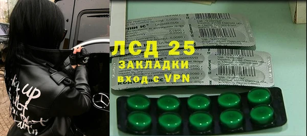 прущие грибы Армянск